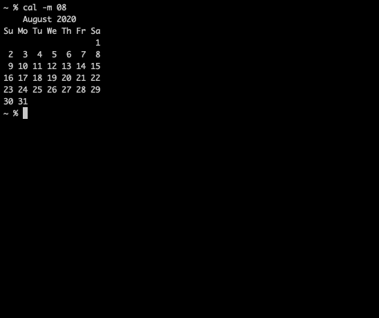 with argument and option
